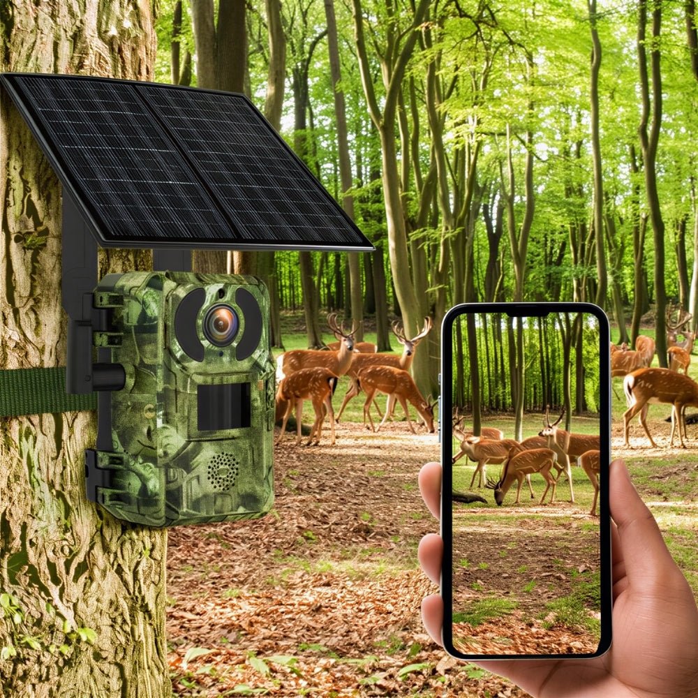 Caméra de chasse solaire 4G 4K avec vision nocturne pour la faune