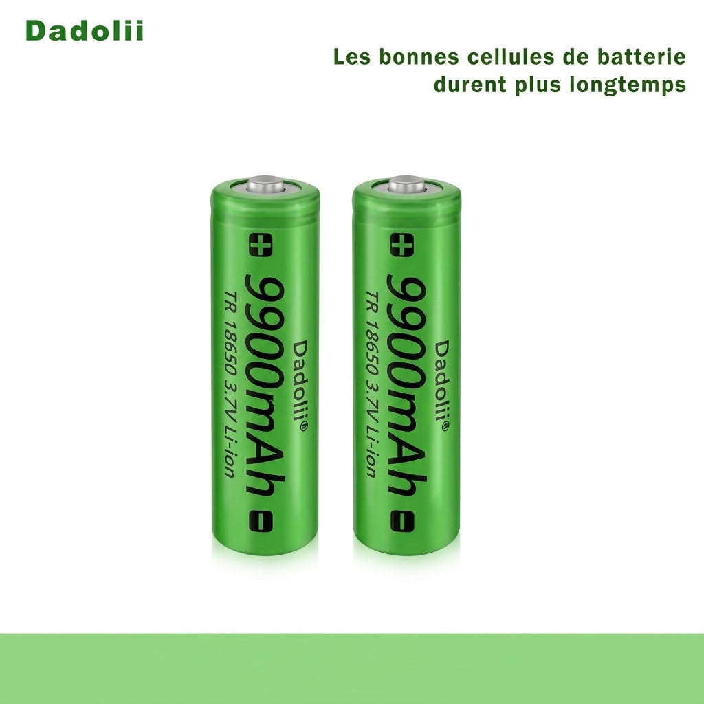 Batteries rechargeables 18650 pour caméra de chasse — Haute capacité