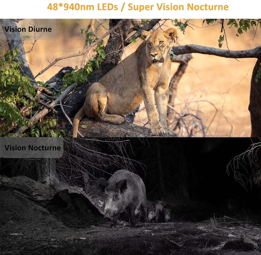 Caméra de chasse 4K avec vision nocturne et diffusion en direct