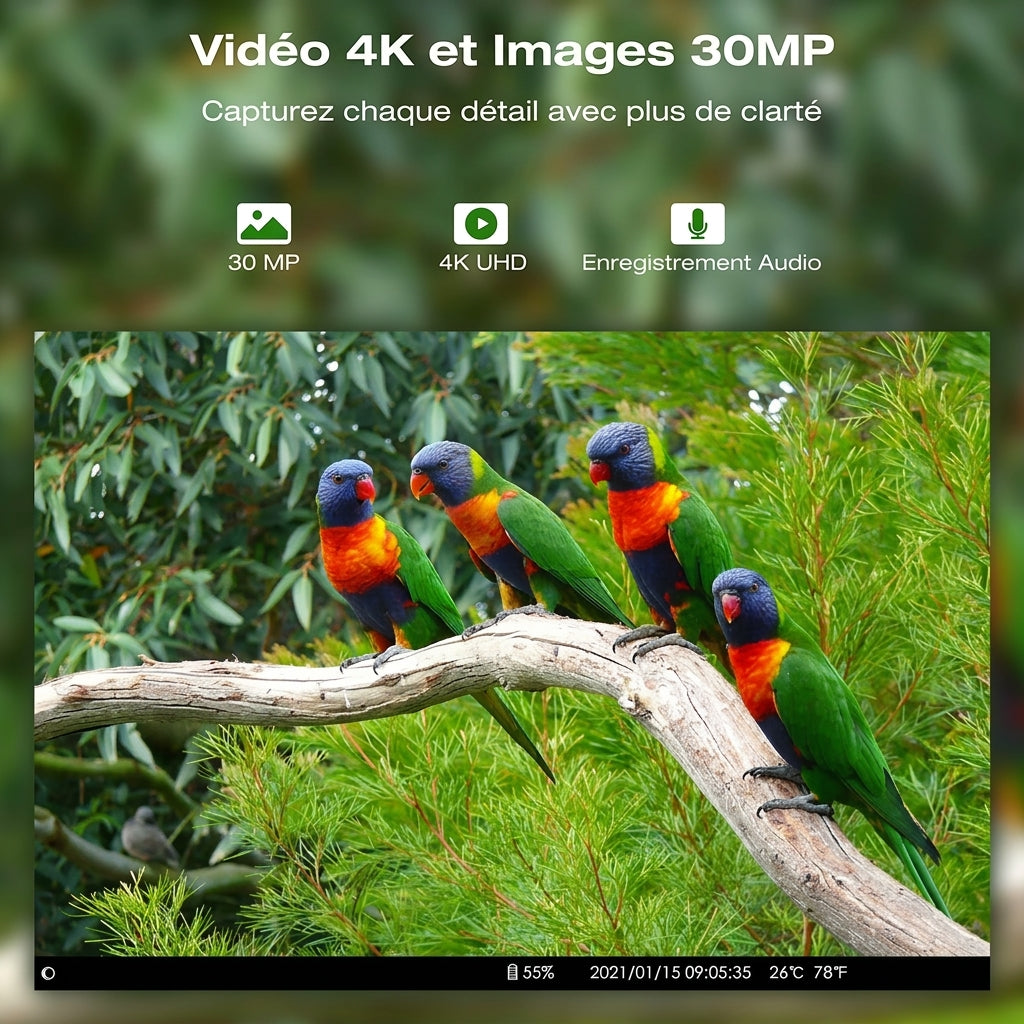 Caméra de chasse 4K avec vision nocturne et diffusion en direct