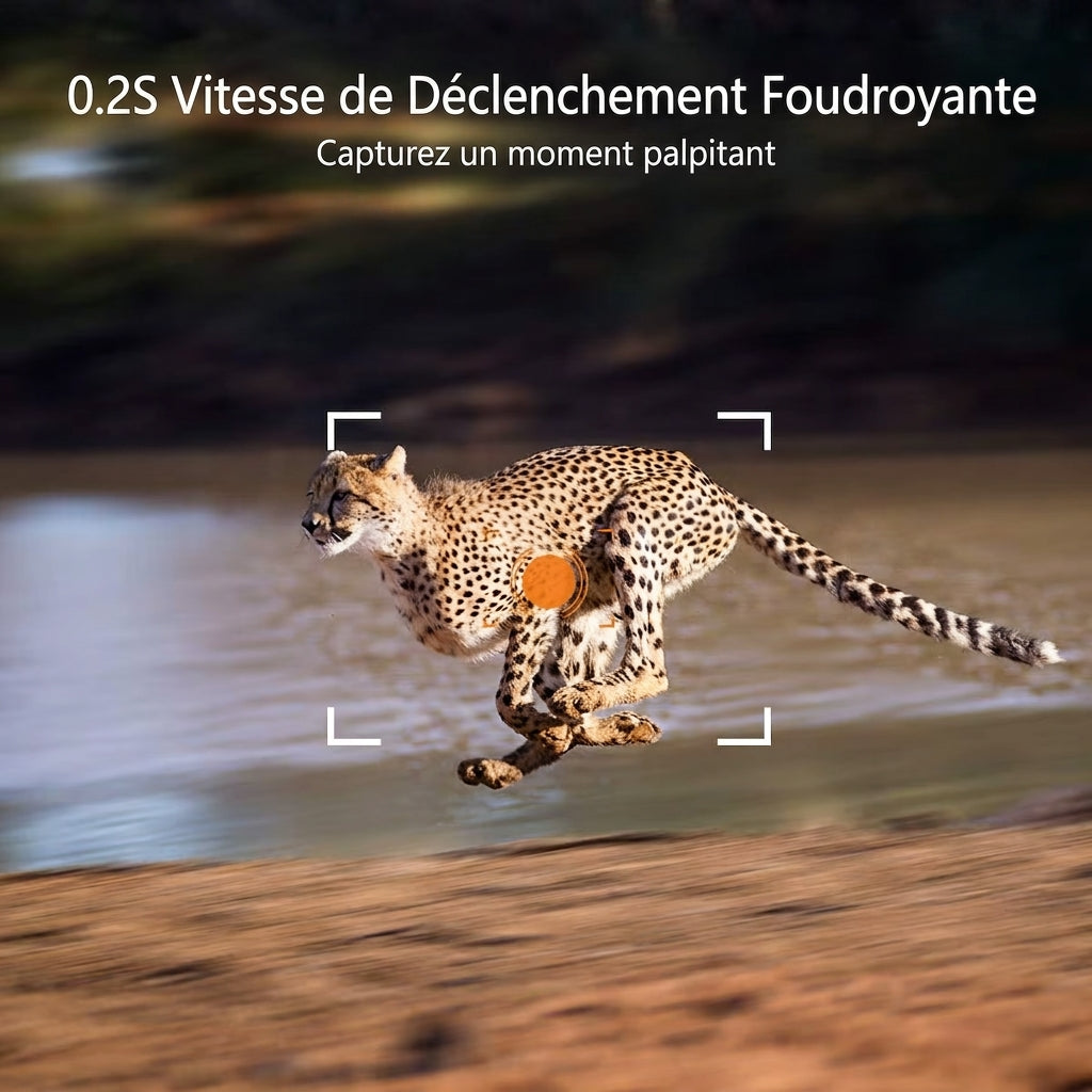 Caméra de chasse 4K avec vision nocturne et diffusion en direct